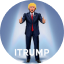 Trump Cards Fraction Token